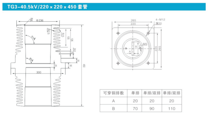 TG3-40.5KV-220-220-450套管.png